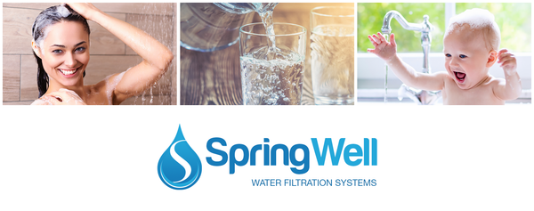 SpringWell Whole House Water Filter System - USA