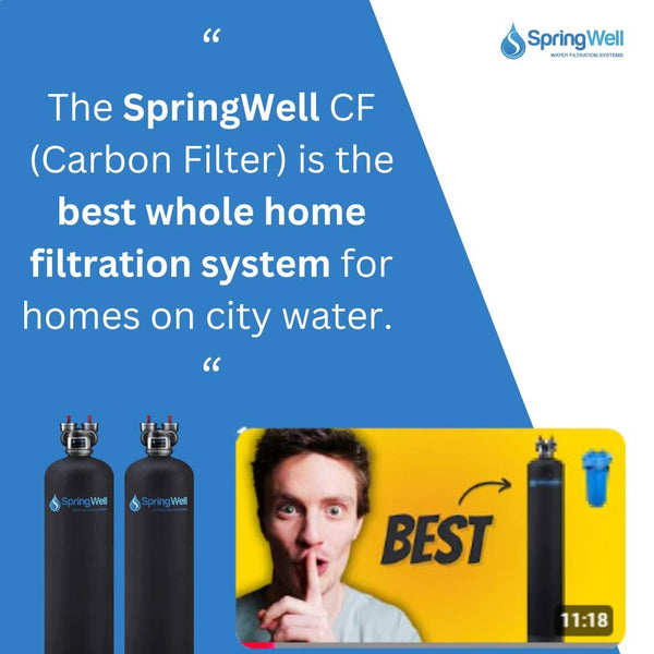 SpringWell Whole House Water Filter System - USA