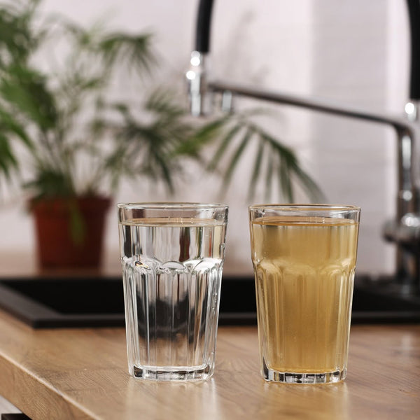 SpringWell Whole House Water Filter System - USA