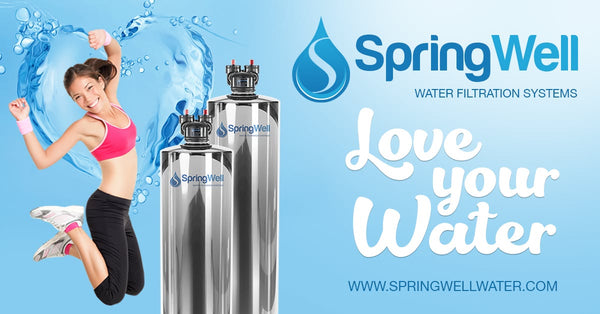 SpringWell Whole House Water Filter System - USA