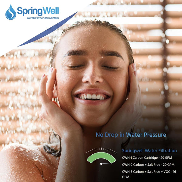 SpringWell Whole House Cartridge Water Filtration System